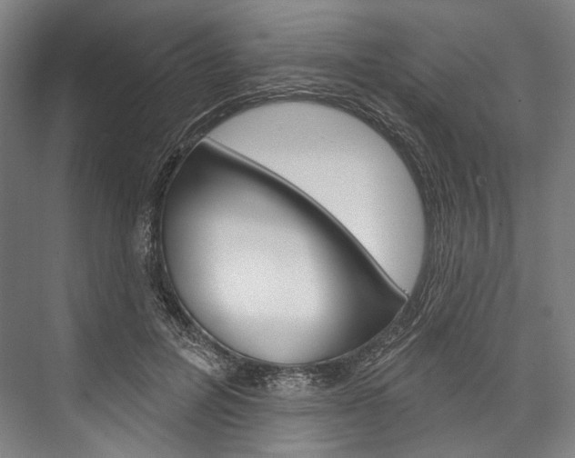 X0000076440600200610061027