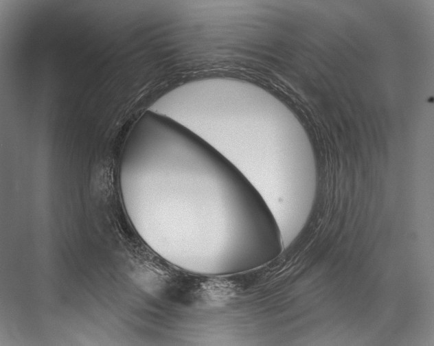 X0000076440603200610061027