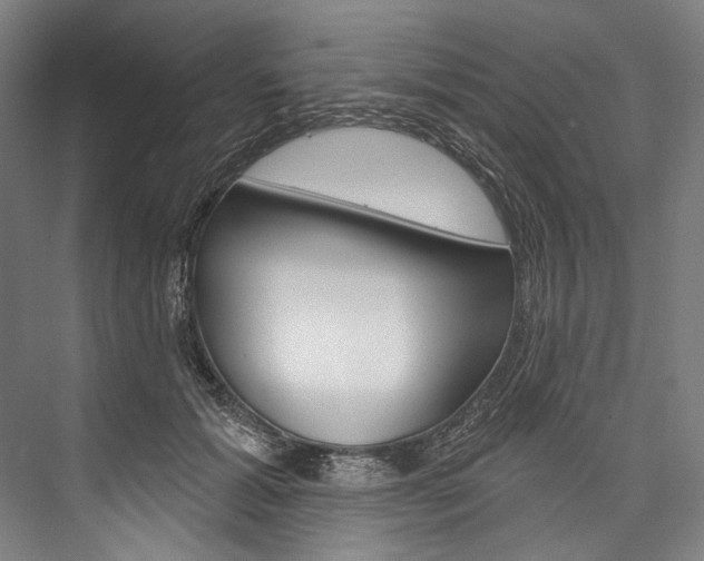 X0000076440605200610061027