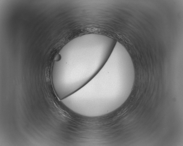 X0000076440606200610061027