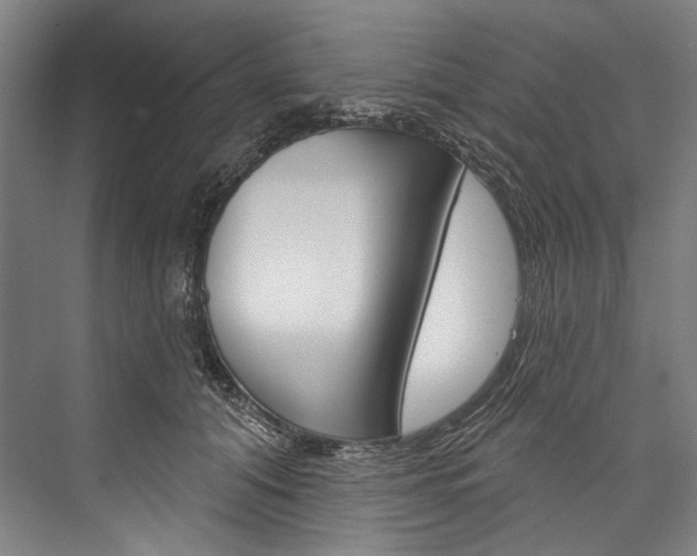 X0000076440608200610061027