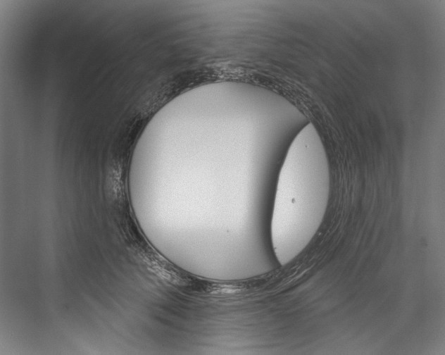 X0000076440610200610061027