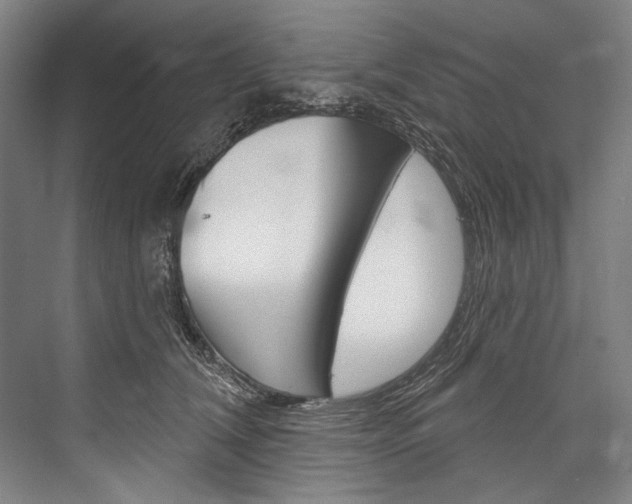 X0000076440612200610061027