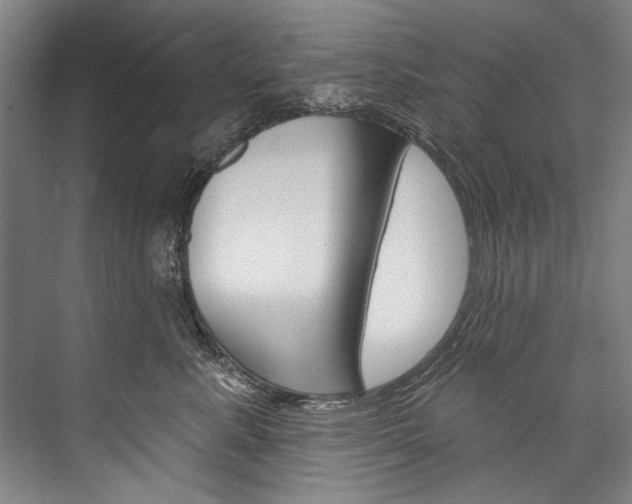 X0000076440619200610061027