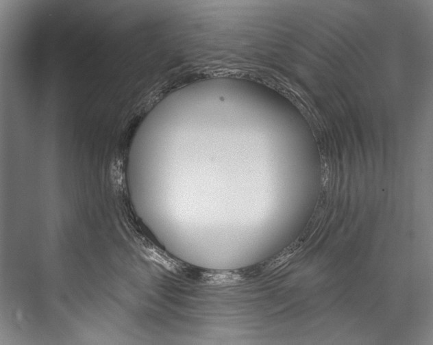 X0000076440621200610061027