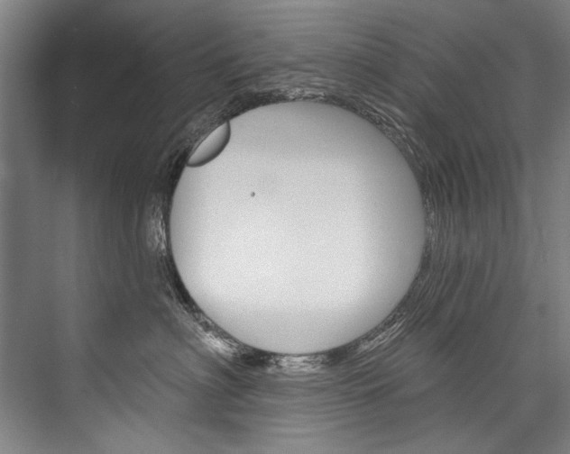 X0000076440622200610061027
