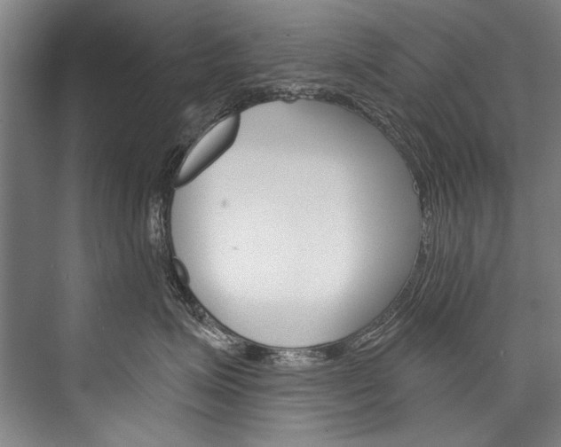 X0000076440623200610061027