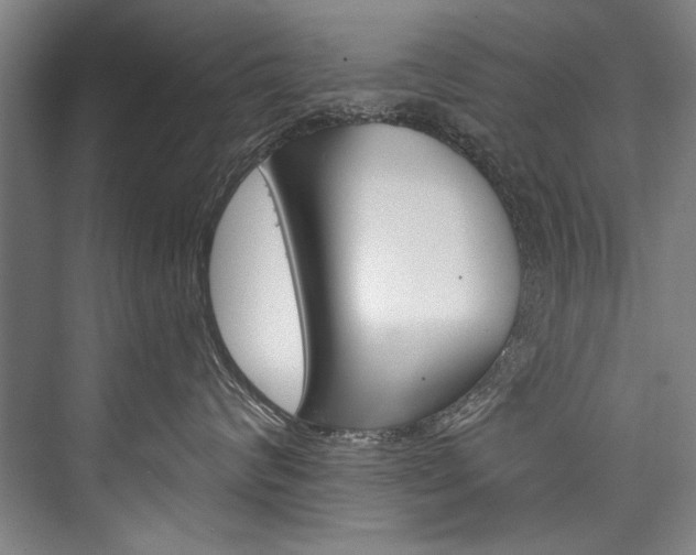 X0000076440624200610061027