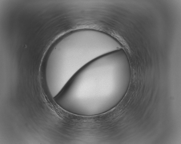 X0000076440628200610061026