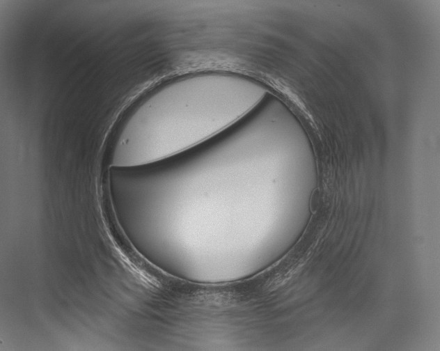 X0000076440629200610061026