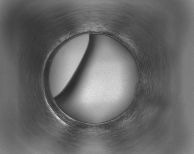 X0000076440630200610061026