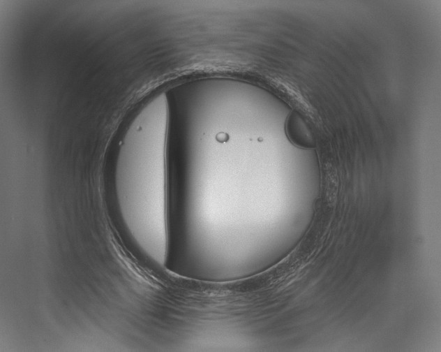 X0000076440631200610061026