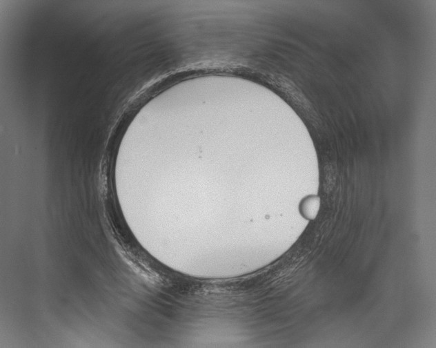 X0000076440632200610061026