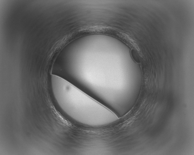 X0000076440633200610061026