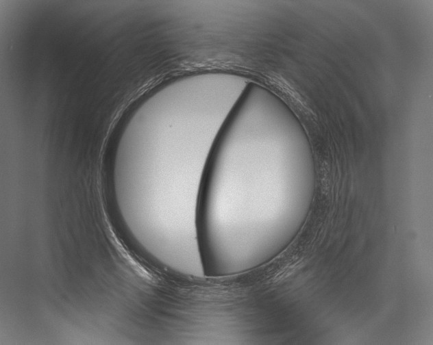 X0000076440634200610061026