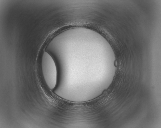 X0000076440636200610061026