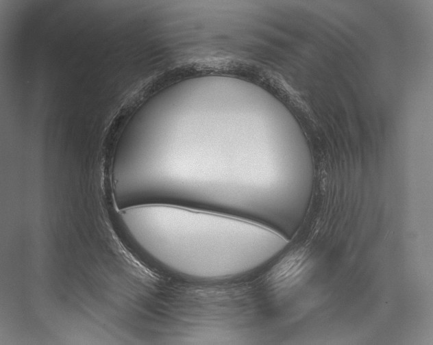 X0000076440637200610061026