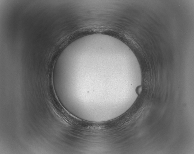 X0000076440639200610061026