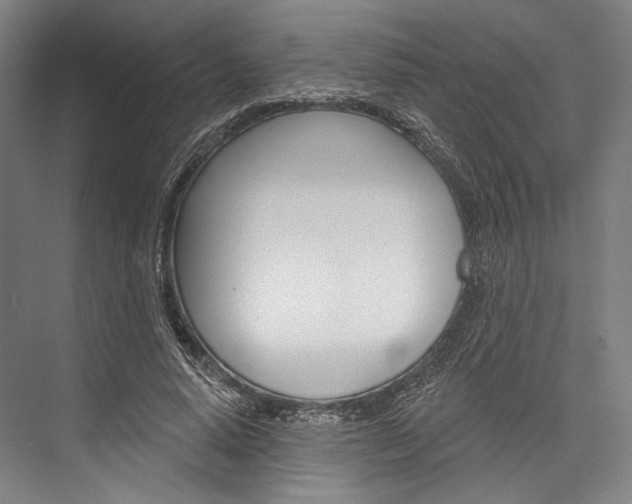 X0000076440640200610061026