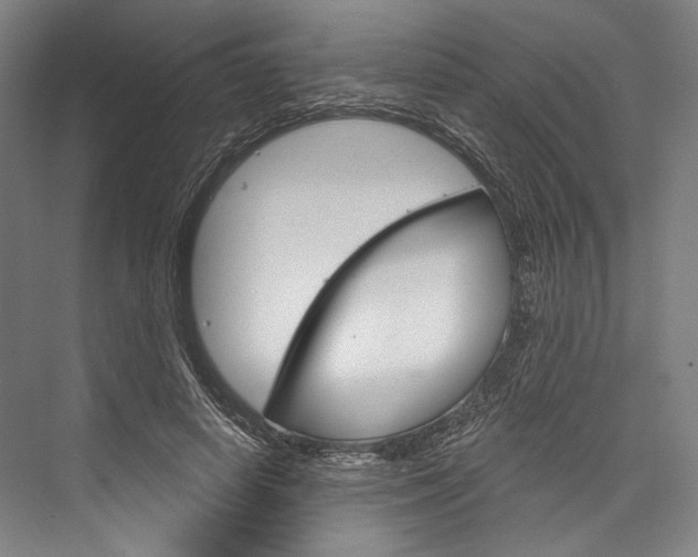 X0000076440642200610061026