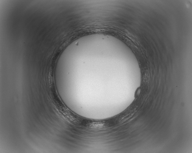 X0000076440651200610061026