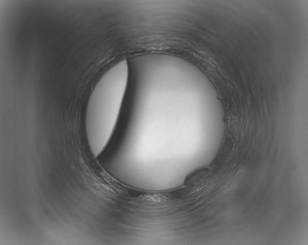 X0000076440652200610061026