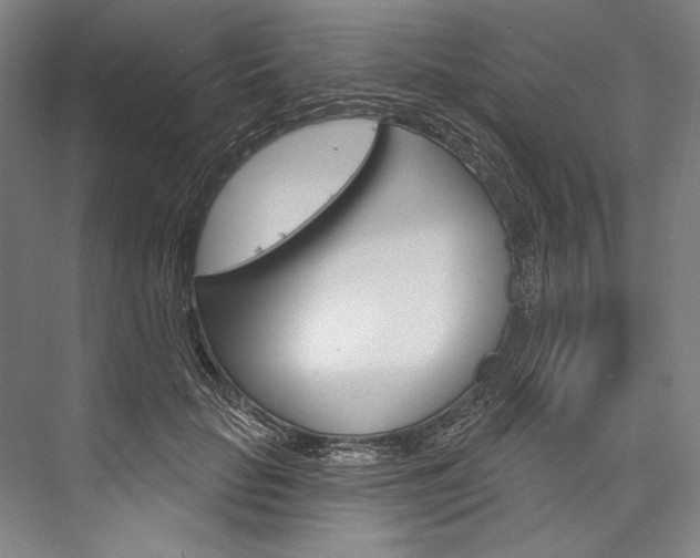 X0000076440653200610061026