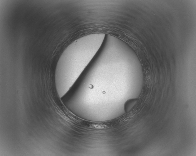 X0000076440654200610061026