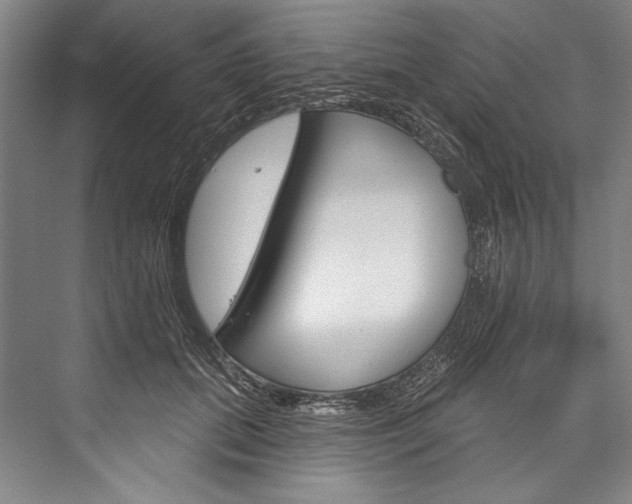 X0000076440655200610061026