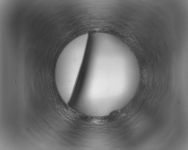 X0000076440657200610061026
