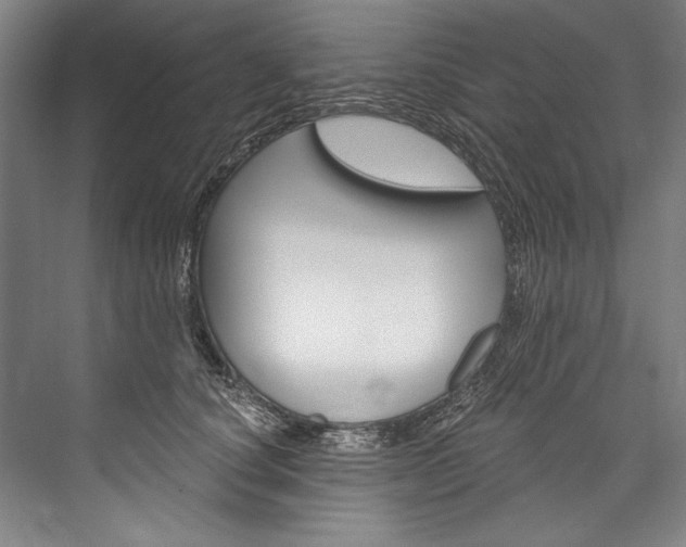 X0000076440660200610061026
