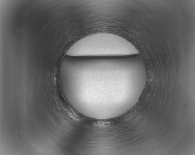 X0000076440664200610061026