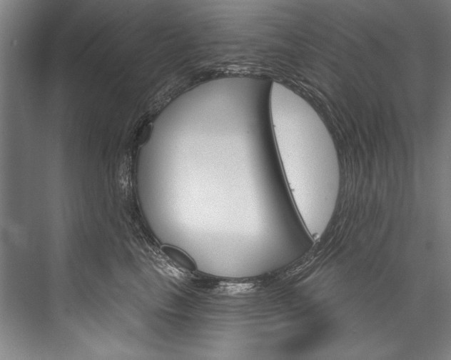 X0000076440665200610061027