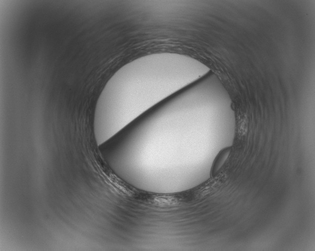 X0000076440666200610061027