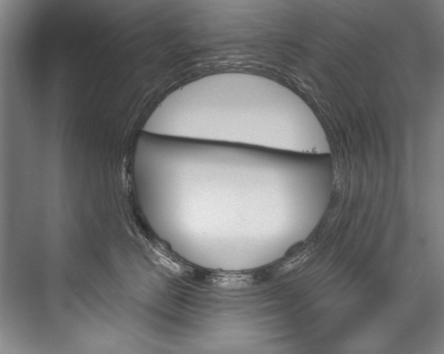 X0000076440670200610061027