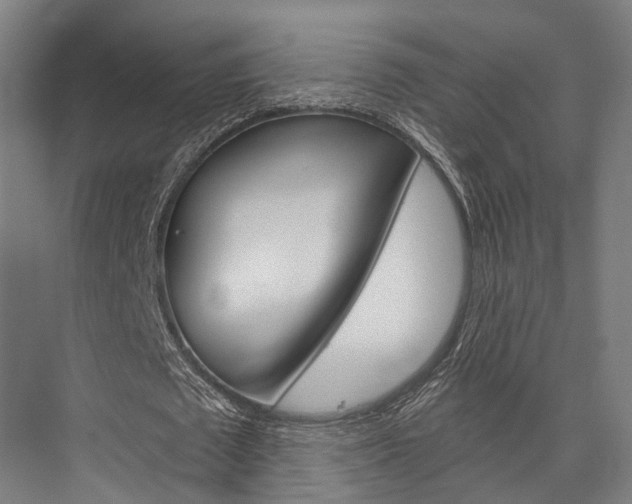 X0000076440673200610061026