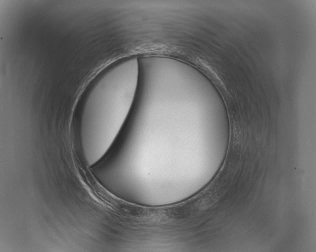 X0000076440674200610061026