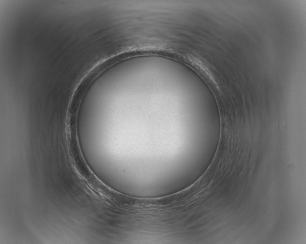X0000076440676200610061026