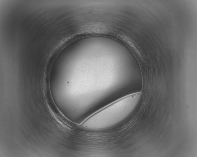 X0000076440677200610061026