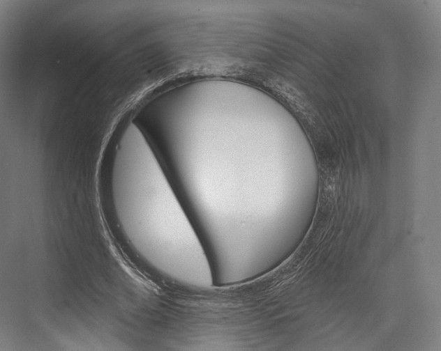 X0000076440678200610061026