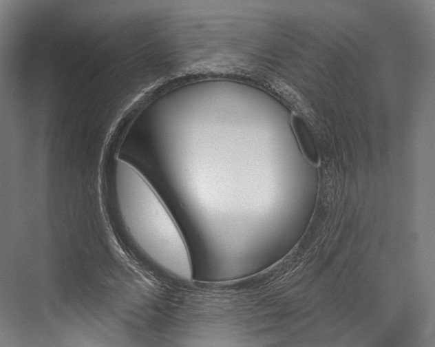 X0000076440680200610061026