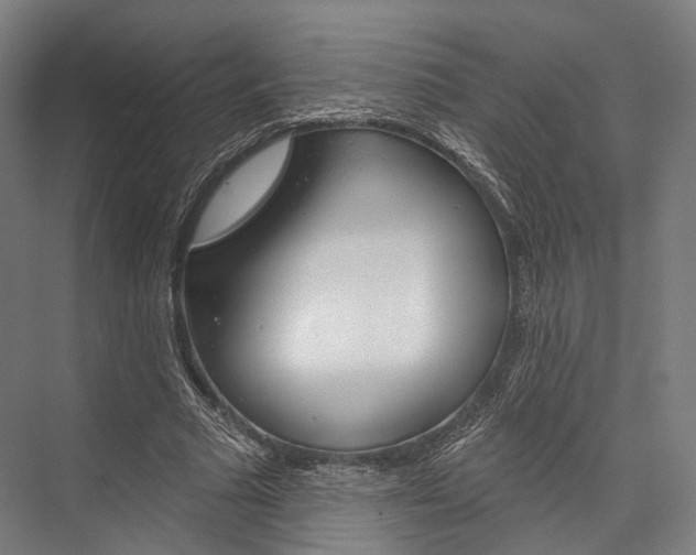X0000076440681200610061026