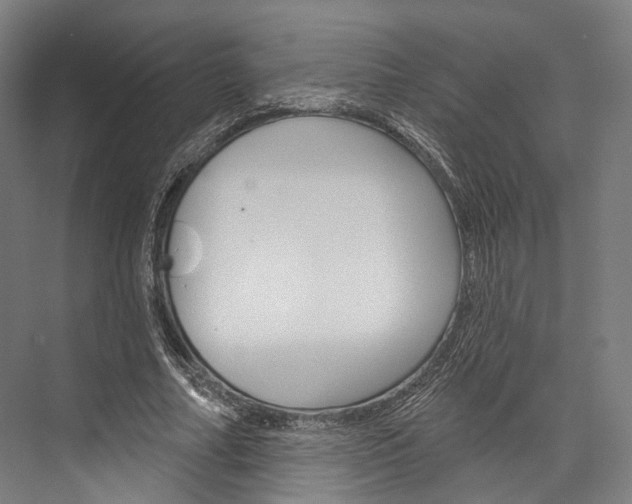 X0000076440682200610061026