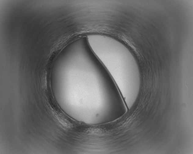 X0000076440685200610061026