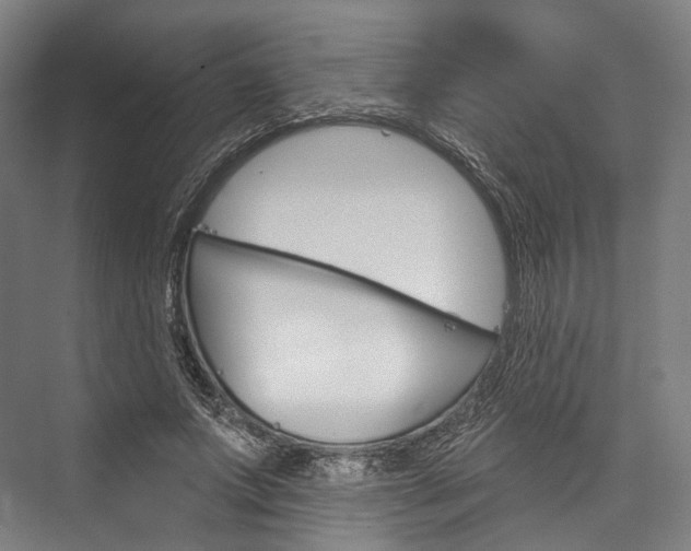 X0000076440687200610061026