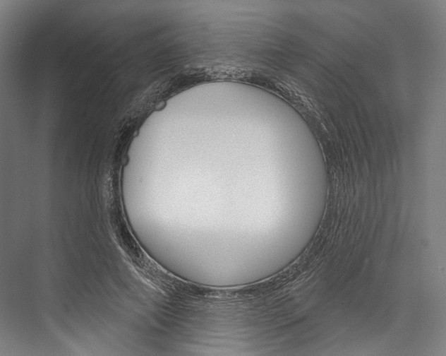 X0000076440690200610061026