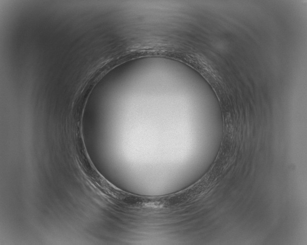 X0000076440692200610061026