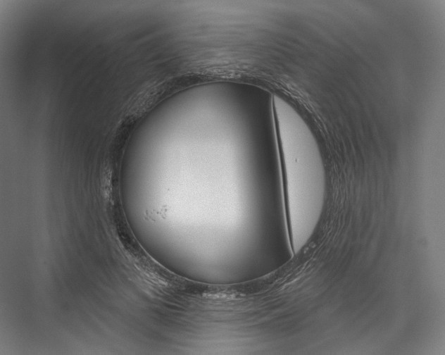 X0000076440693200610061025