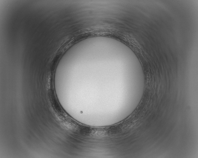 X0000076440694200610061025