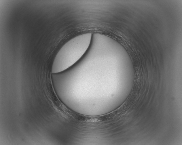 X0000076440695200610061025